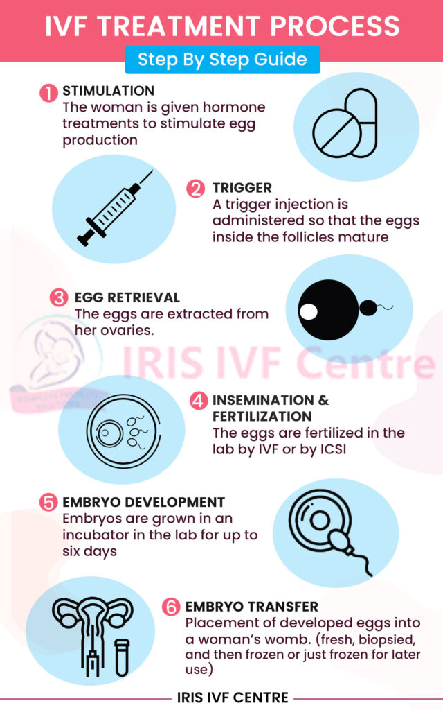 process of IVF treatment