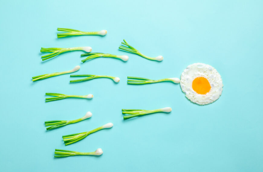 Foods to Increase Sperm counts and improve Male Fertility